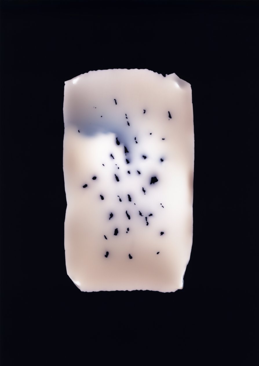 Uden titel, 2001 af Richard Green