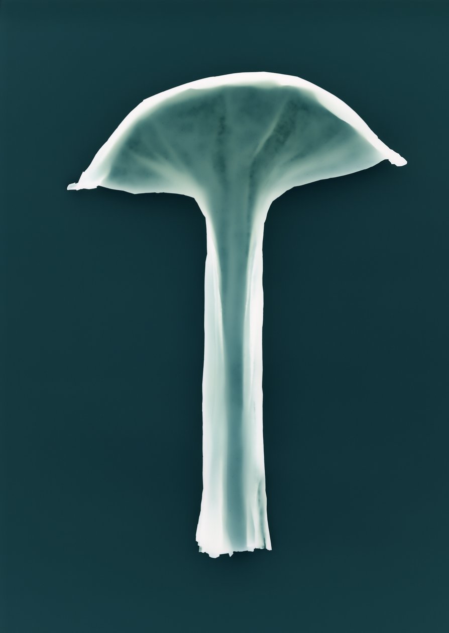 Uden titel, 2003 af Richard Green