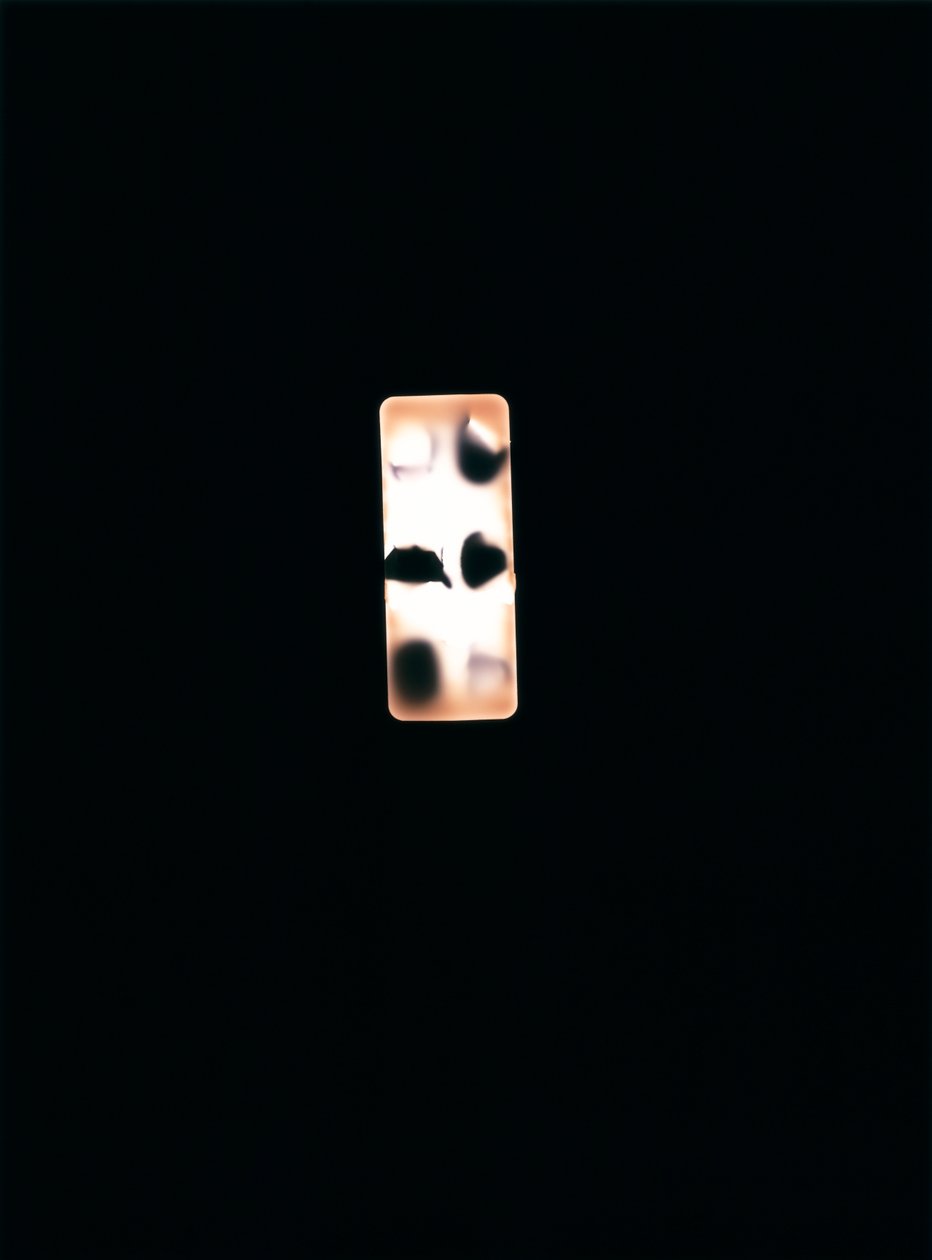 Uden titel, 2004 (unikt c-type fotogram) af Richard Green