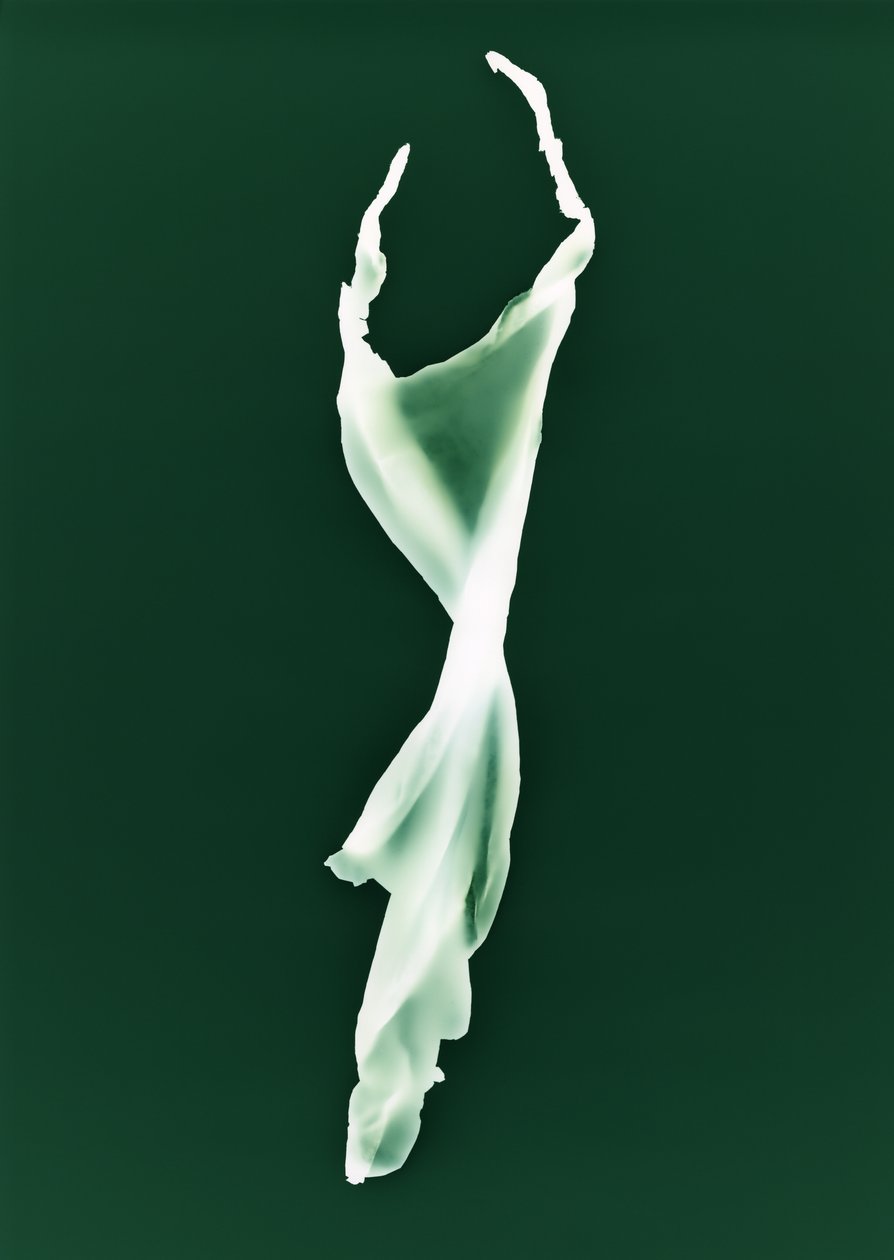 Uden titel, 2004 af Richard Green