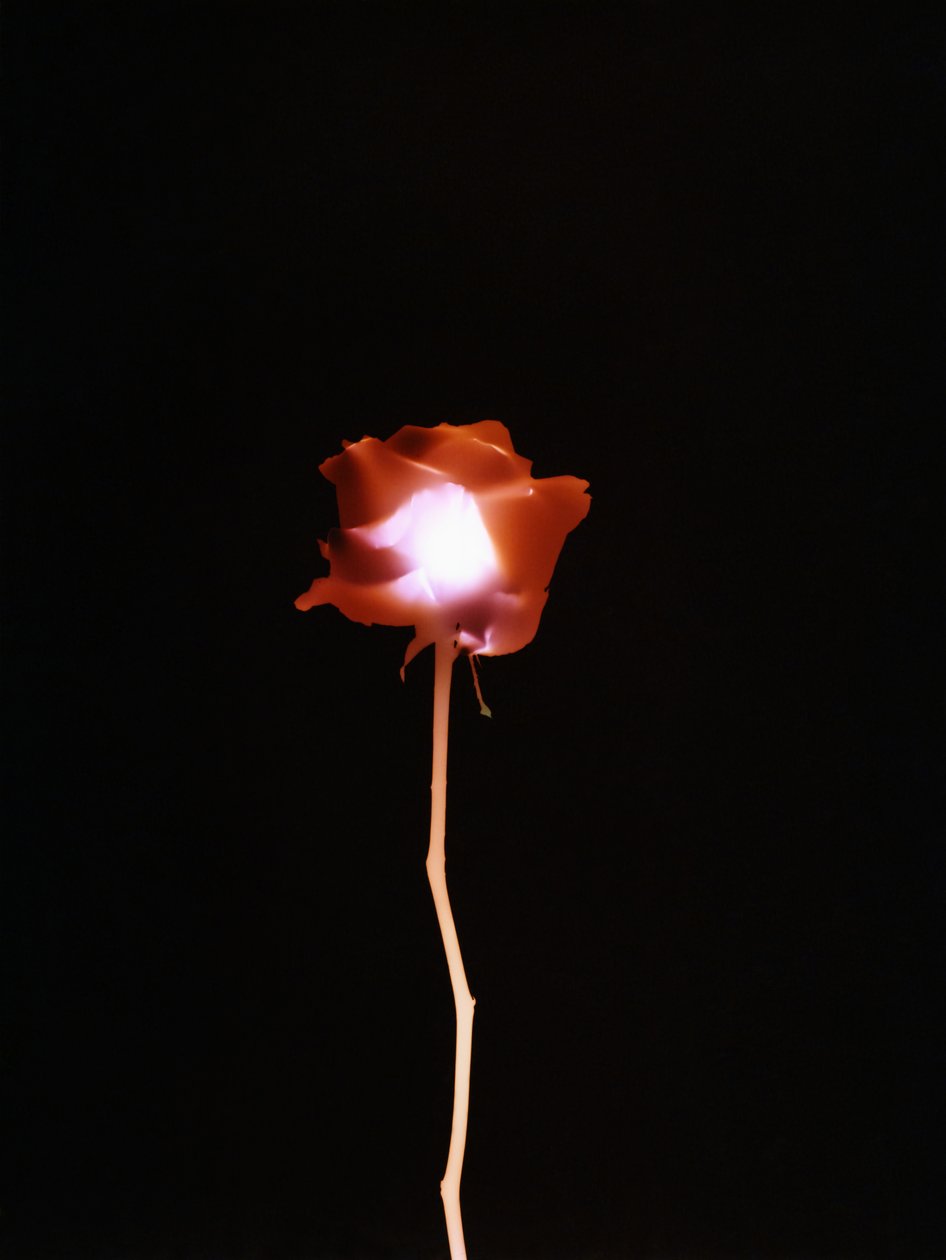 Uden titel, 2007 af Richard Green