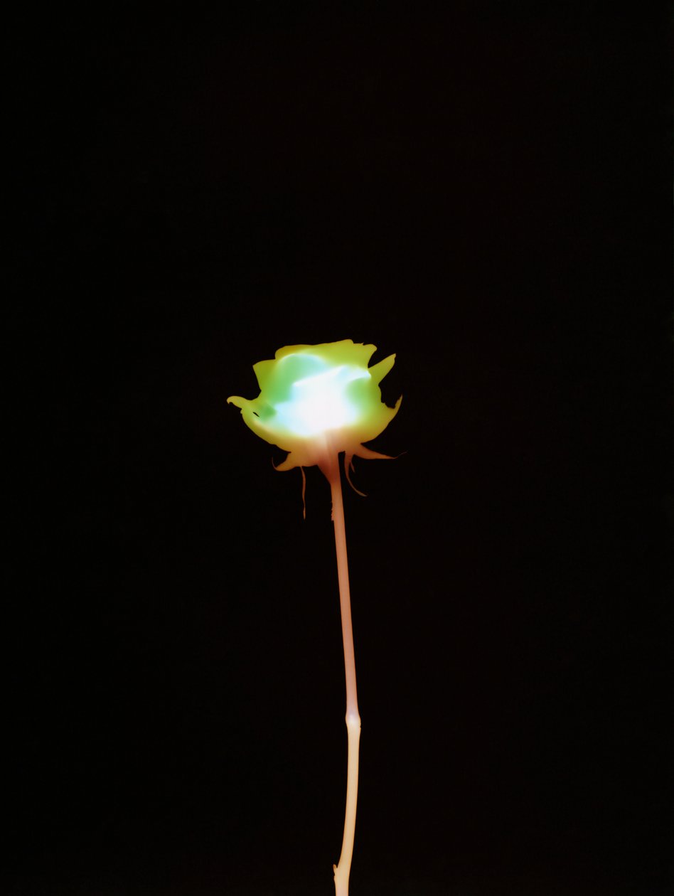 Uden titel, 2007 af Richard Green