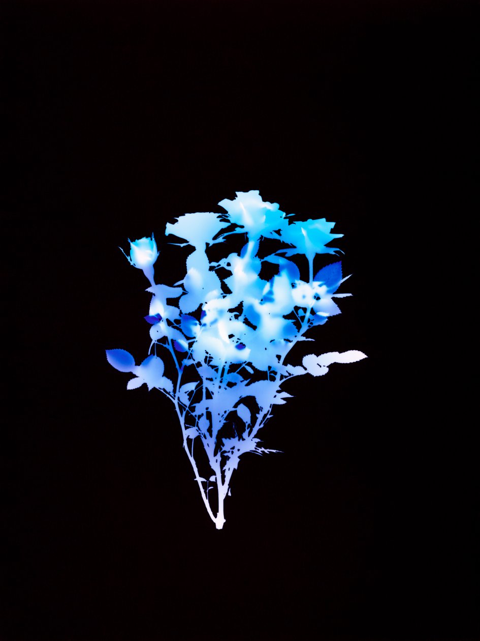 Uden titel, 2008 af Richard Green