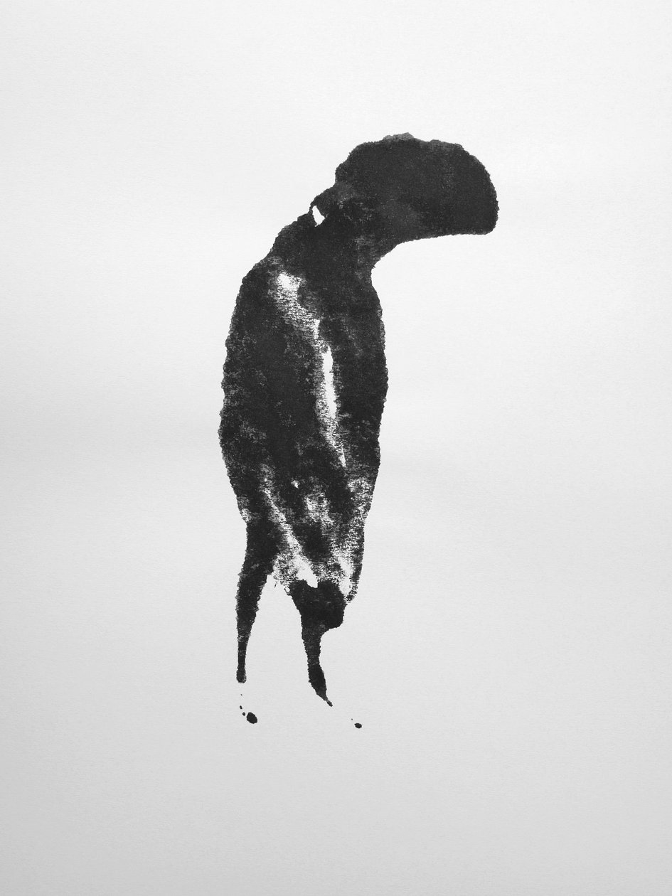 Uden titel, 2009 (monotypi) af Richard Green