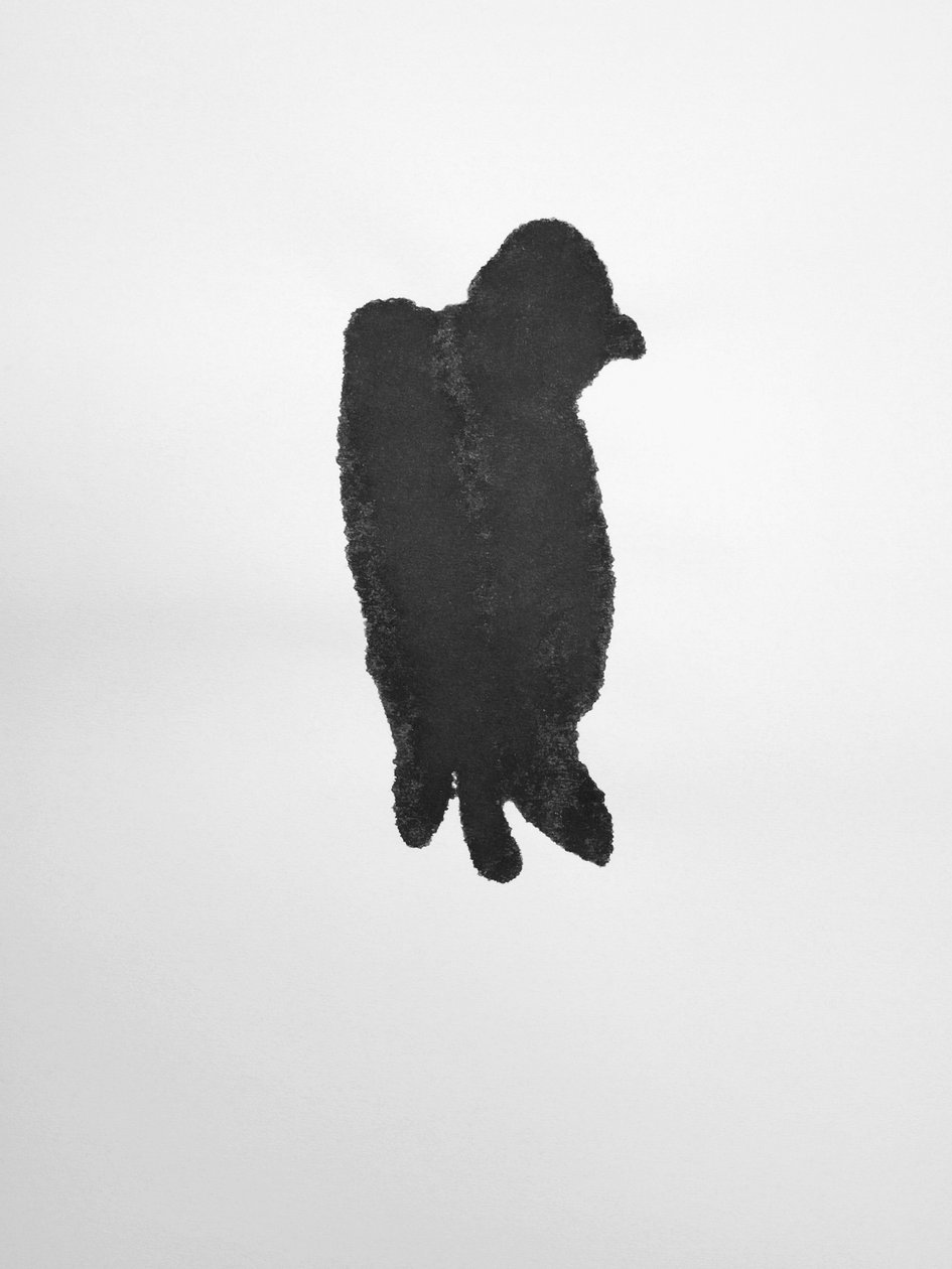 Uden titel, 2009 (monotypi) af Richard Green