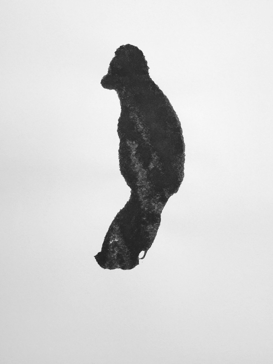 Uden titel, 2009 (monotypi) af Richard Green