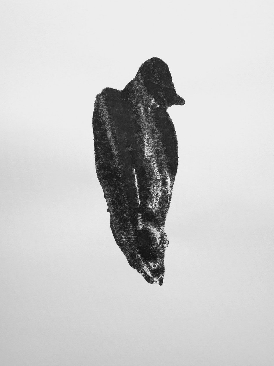 Uden titel, 2009 (monotypi) af Richard Green