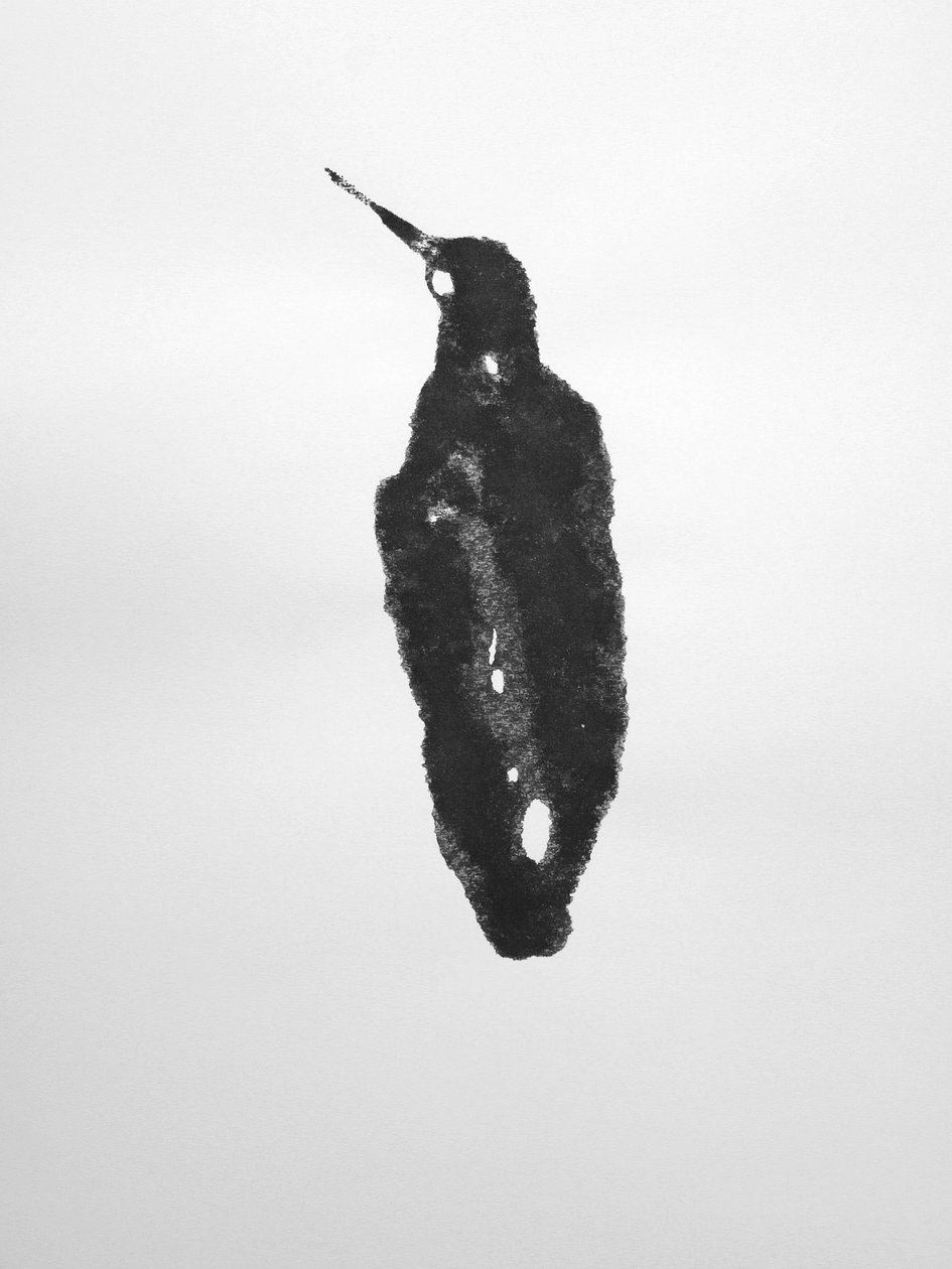 Uden titel, 2009 (monotypi) af Richard Green