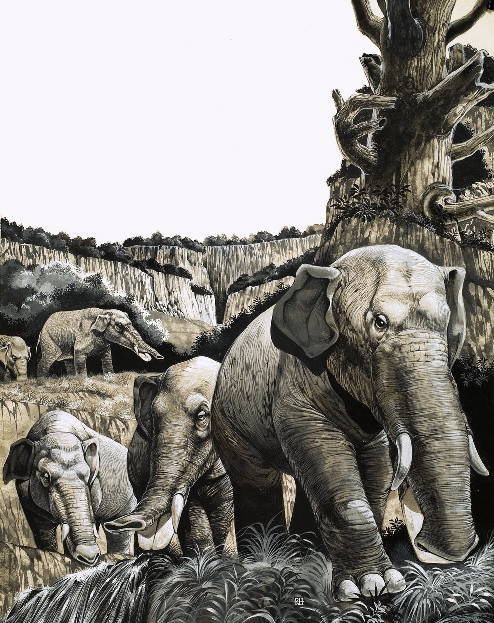 Den mærkelige Amebelodon af Richard Hook