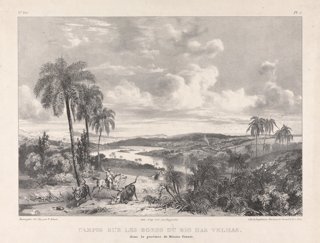 Campos Sur Les Bords du Rio Das Velhas af Richard Parkes Bonington