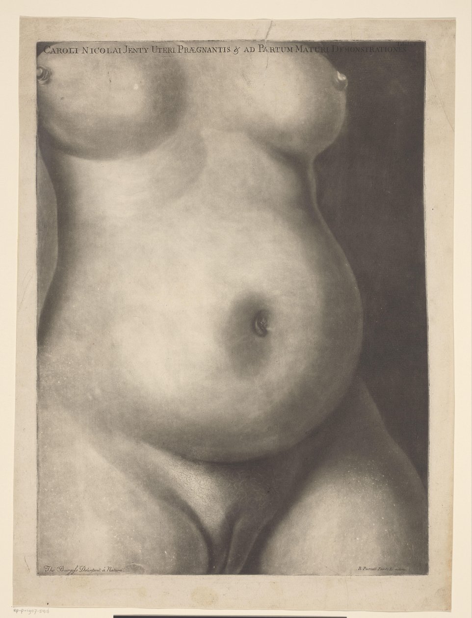 Torso af en gravid kvinde Seks anatomiske print af en graviditet (serietitel) Demonstrationer af en gravid livmoder hos en kvinde på fuld tid (...) (serietitel) Caroli Nicolai Jenty Uteri Praegnantis & ad Partum Maturi Demonstrationes (serier af Richard Purcell