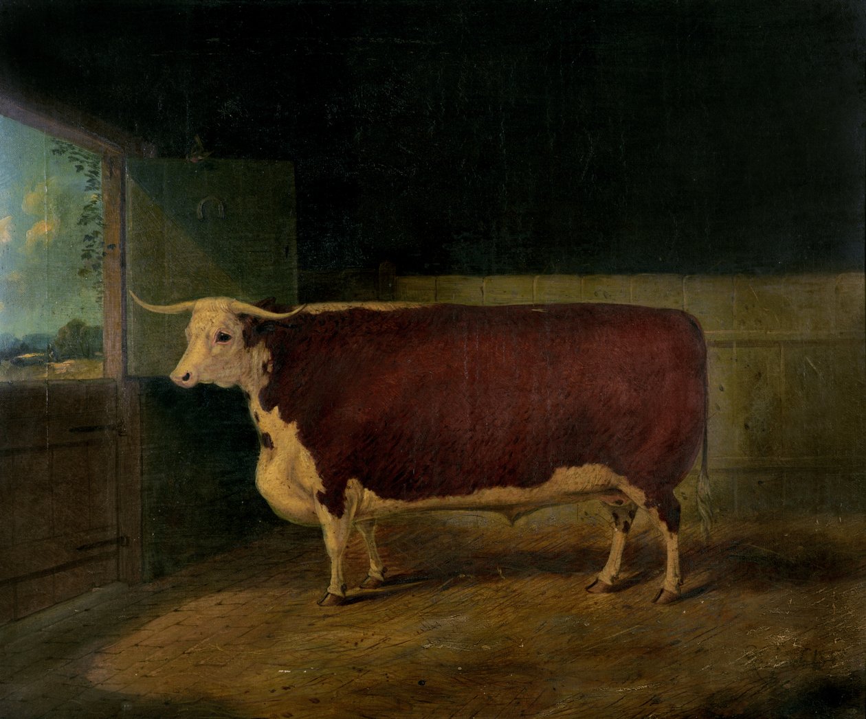 Portræt af en pris Hereford Steer, 1874 af Richard Whitford