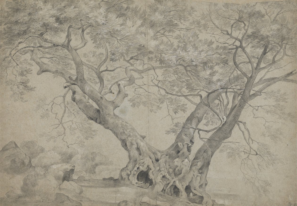 Arbra Sacra på bredden af Lake Nemi, ca. 1754-56 (sort og hvidt kridt på papir) af Richard Wilson