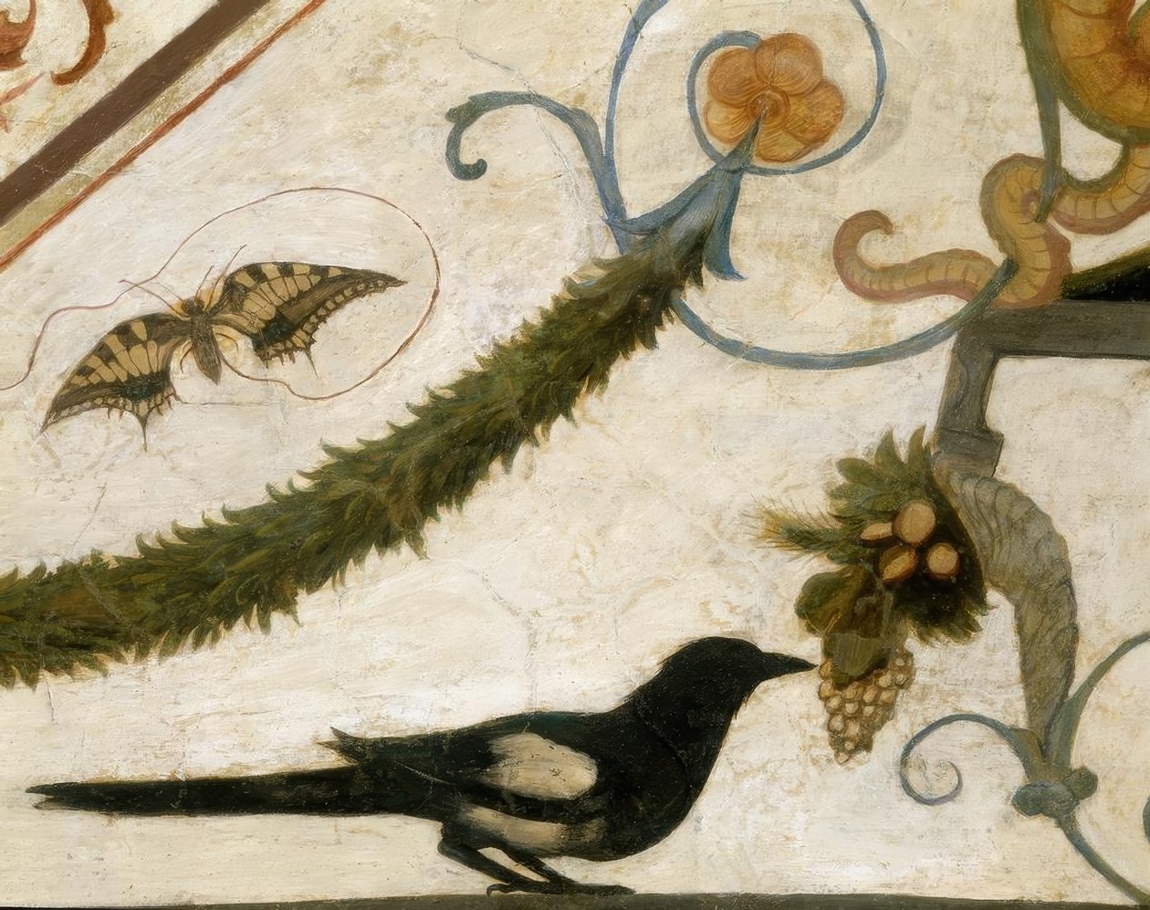 R.Girlandaio, Groteske, Vogel af Ridolfo Ghirlandaio