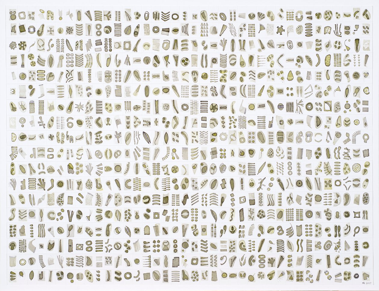 Micrarium No.10 , 2017 (blæk på papir) af Rika Newcombe