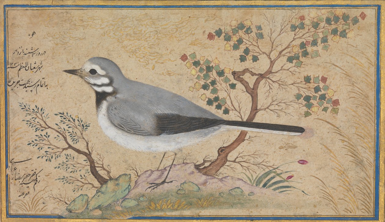 Studie af en fugl, dateret A.H. 1043A.D. 1634. af Riza