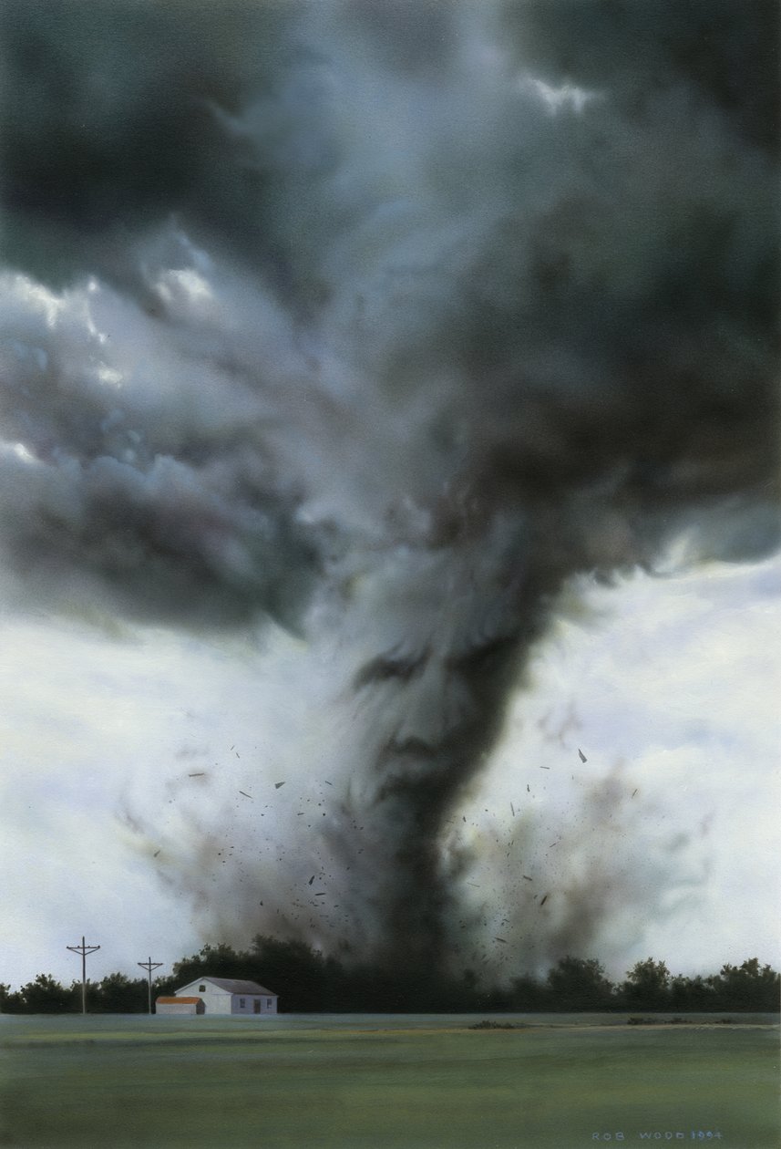 Vejrmanden af Rob Wood