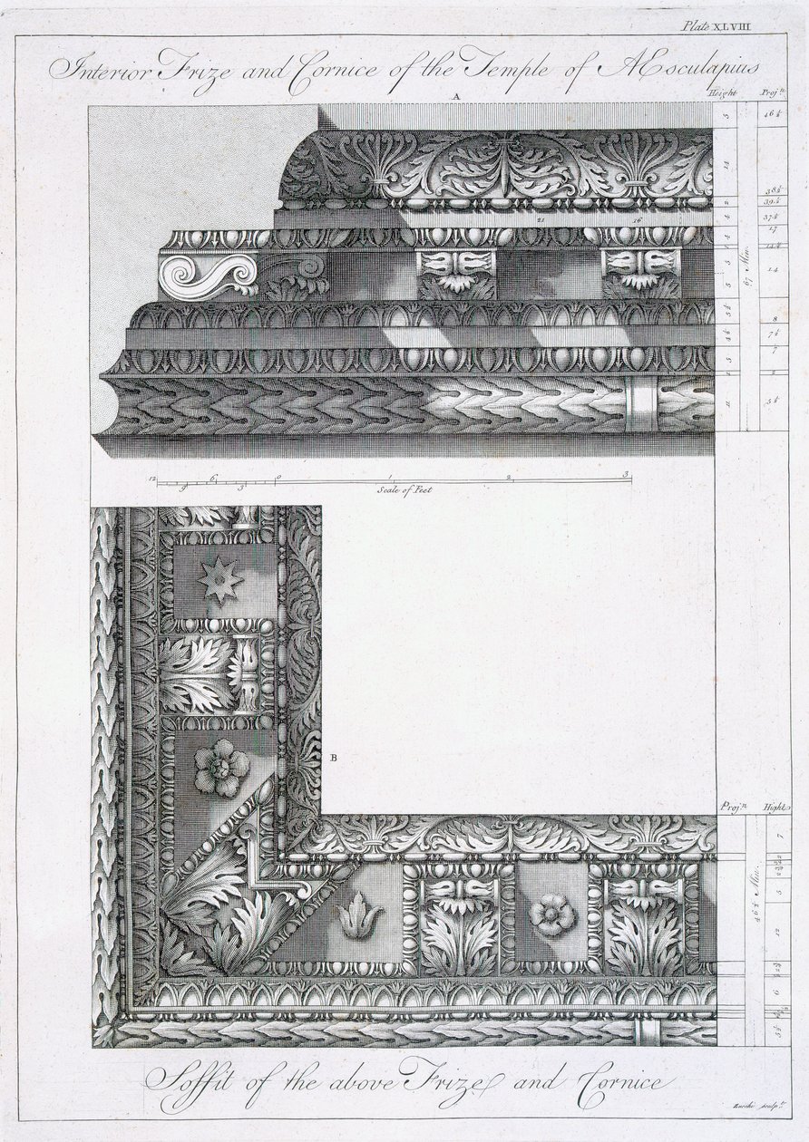 Indvendig frise og gesims i Æskulapstemplet, fra "Ruins of the Palace of Emperor Diocletian of Emperor Diocletian at Spalatro in Dalmatia", udgivet i 1764 af Robert Adam