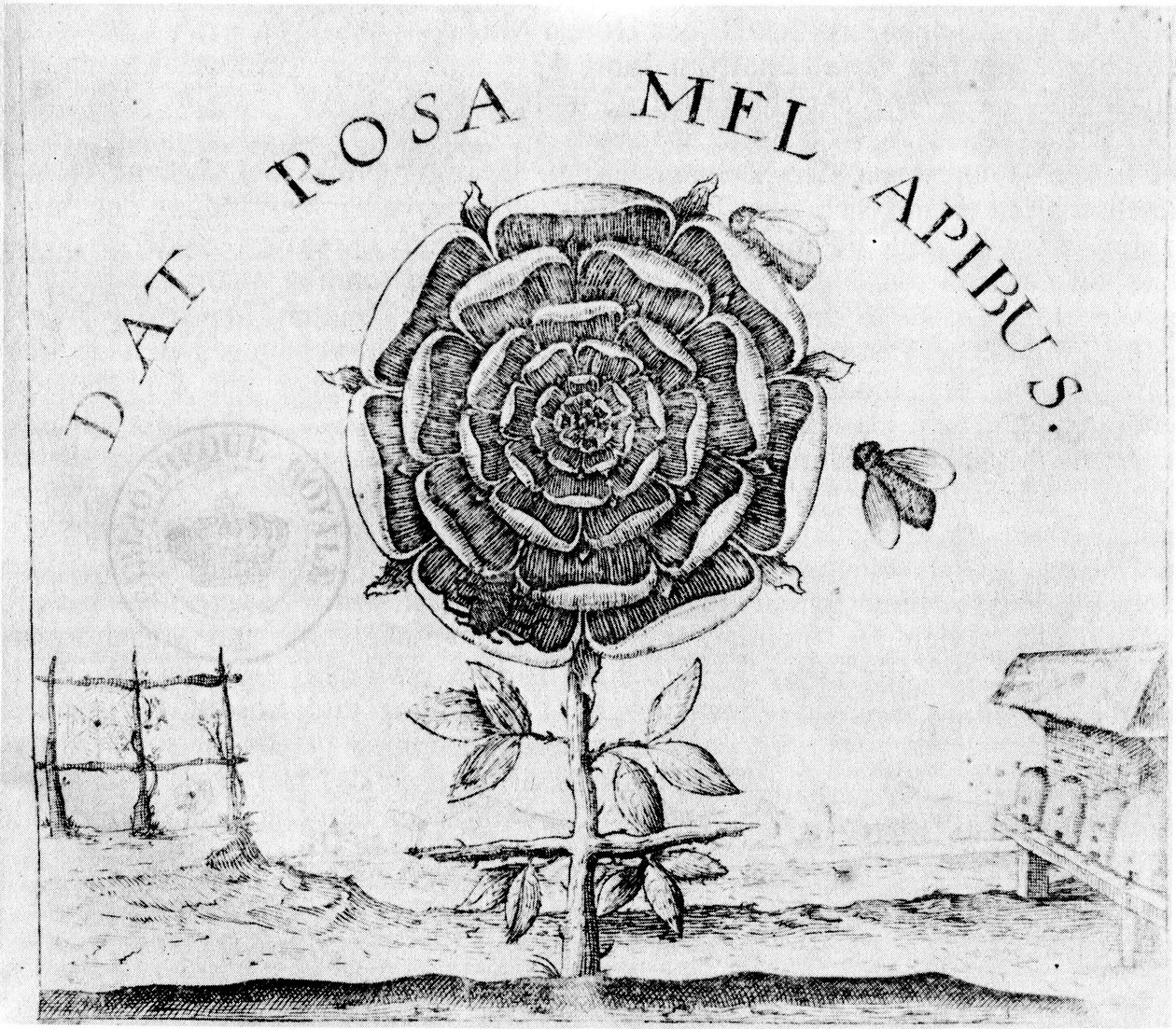 side af Supreme Good af Robert Fludd