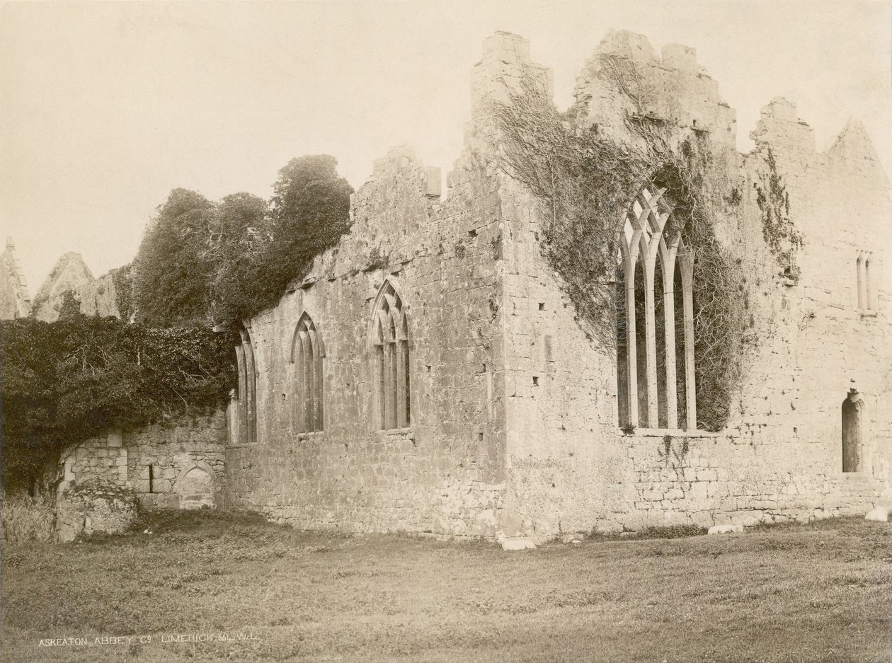 Askeaton Abbey (sepia-billede) af Robert French