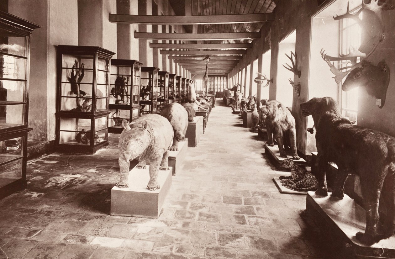 Nationalmuseet i Bangkok, ca. 1890 af Robert Lenz