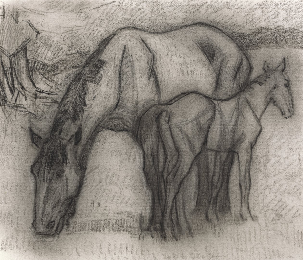 Studie for Hoppe og Føl, Lytchetts, Clayhidon, 1917 (sort farveblyant på papir) af Robert Polhill Bevan