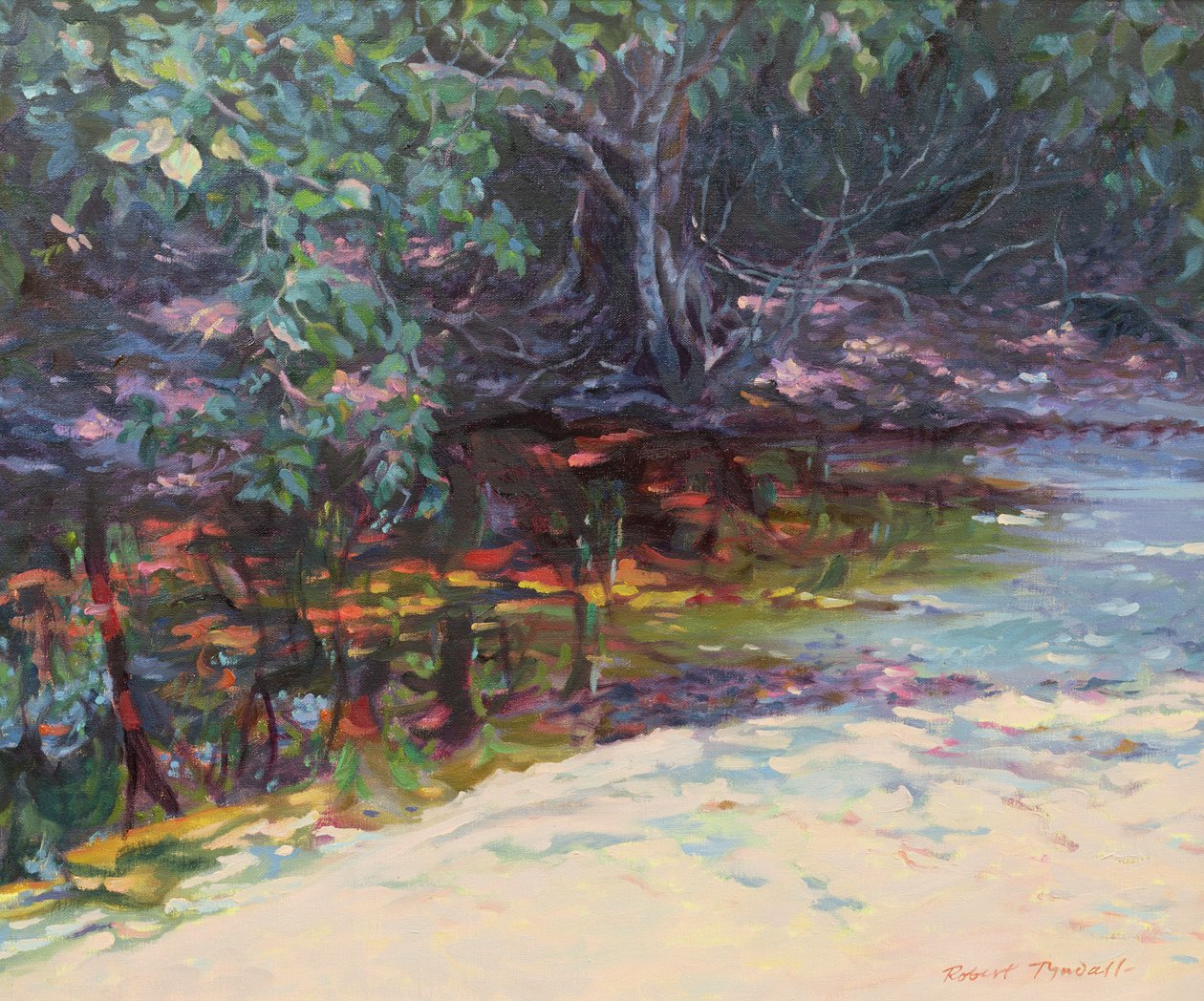 Strand og regnskov, Cape Tribulation, Northern Queensland, Australien af Robert Tyndall