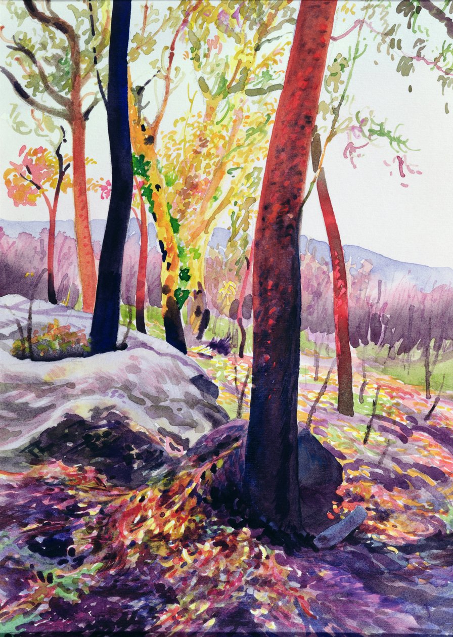 Bush Fire Survivors, Sydney, 1994 (wc) af Robert Tyndall