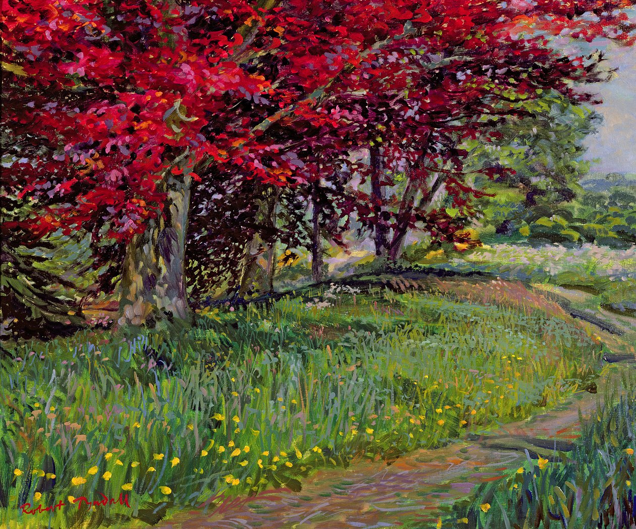 Kobberbøge, New Timber, Sussex af Robert Tyndall