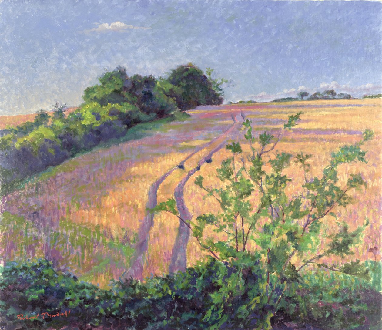 Gylden sommer af Robert Tyndall