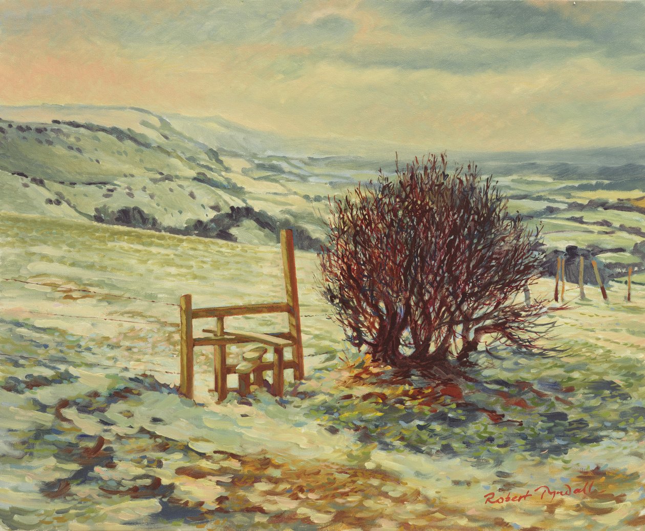 Sussex Stile, vinter, 1996 af Robert Tyndall