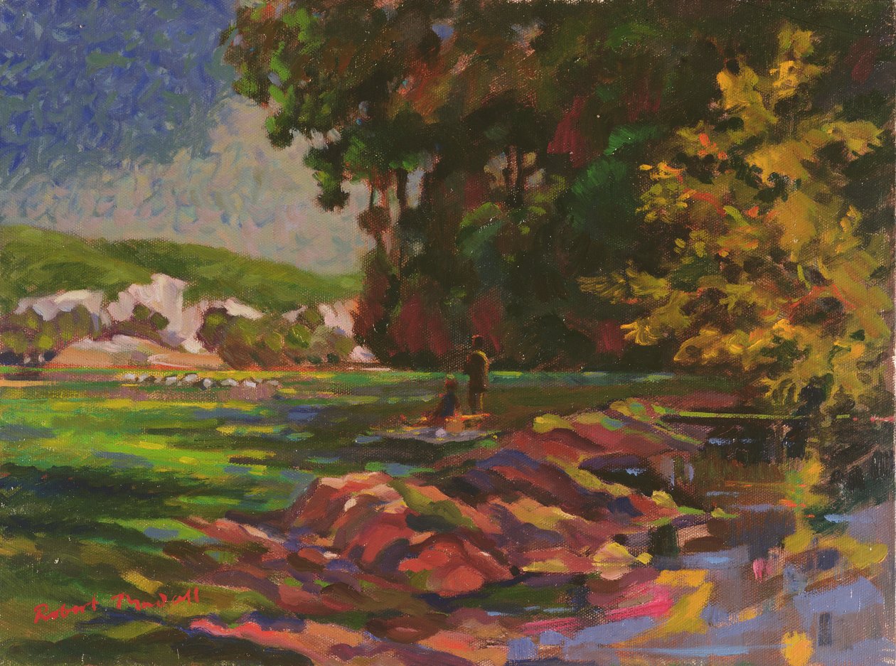 Picnic af Robert Tyndall
