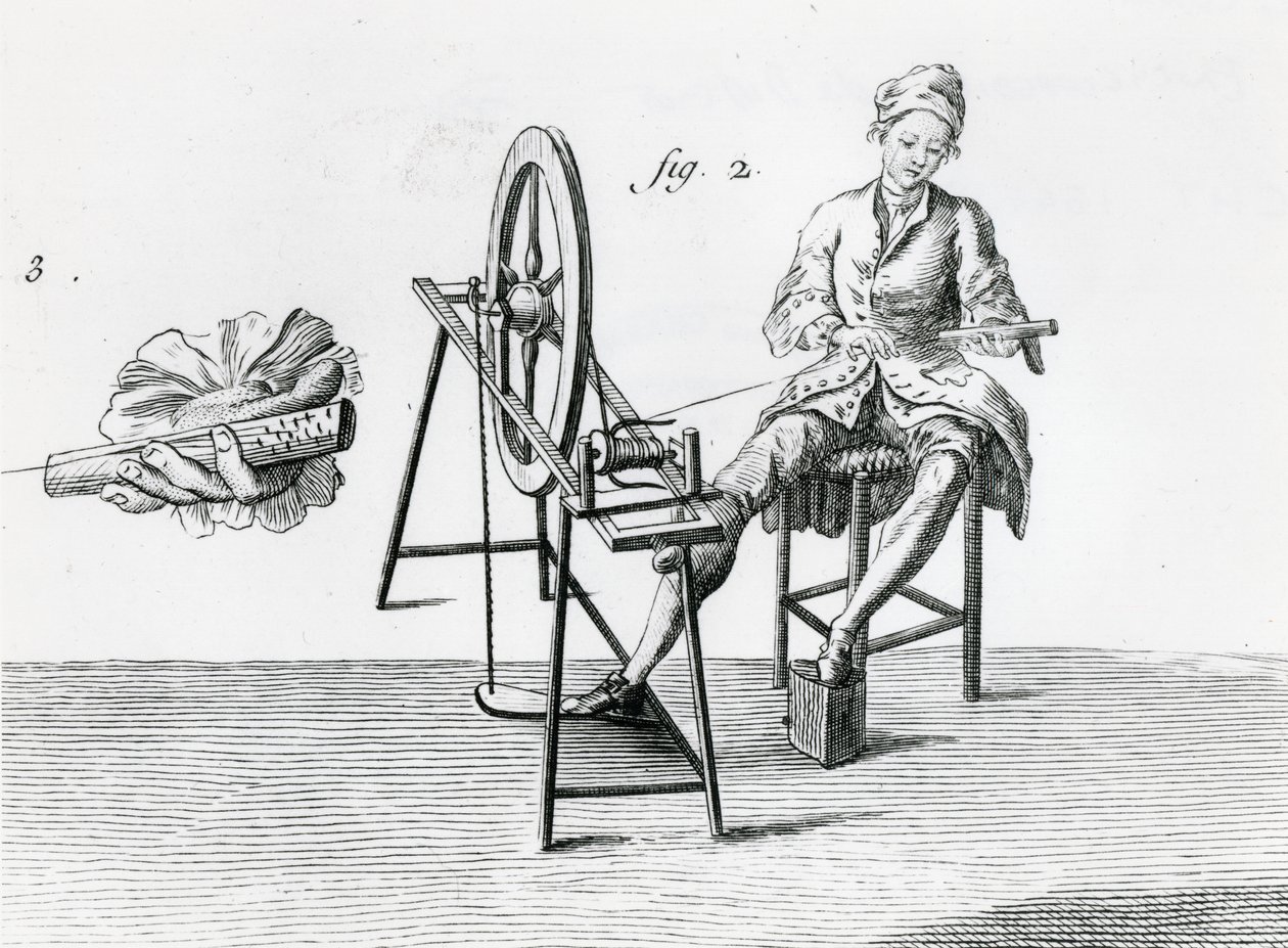 Rustik økonomi, bomuld, fra Encyclopedia af Denis Diderot 1713-84 gravering bw fotodetalje af 164438 af Robert Benard