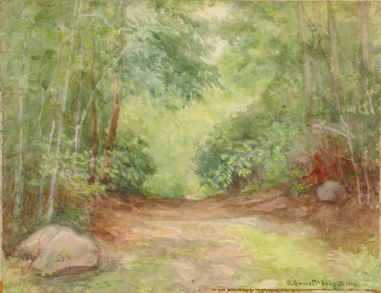 Uden titel (skovbillede) af Robert Bruce McDougall