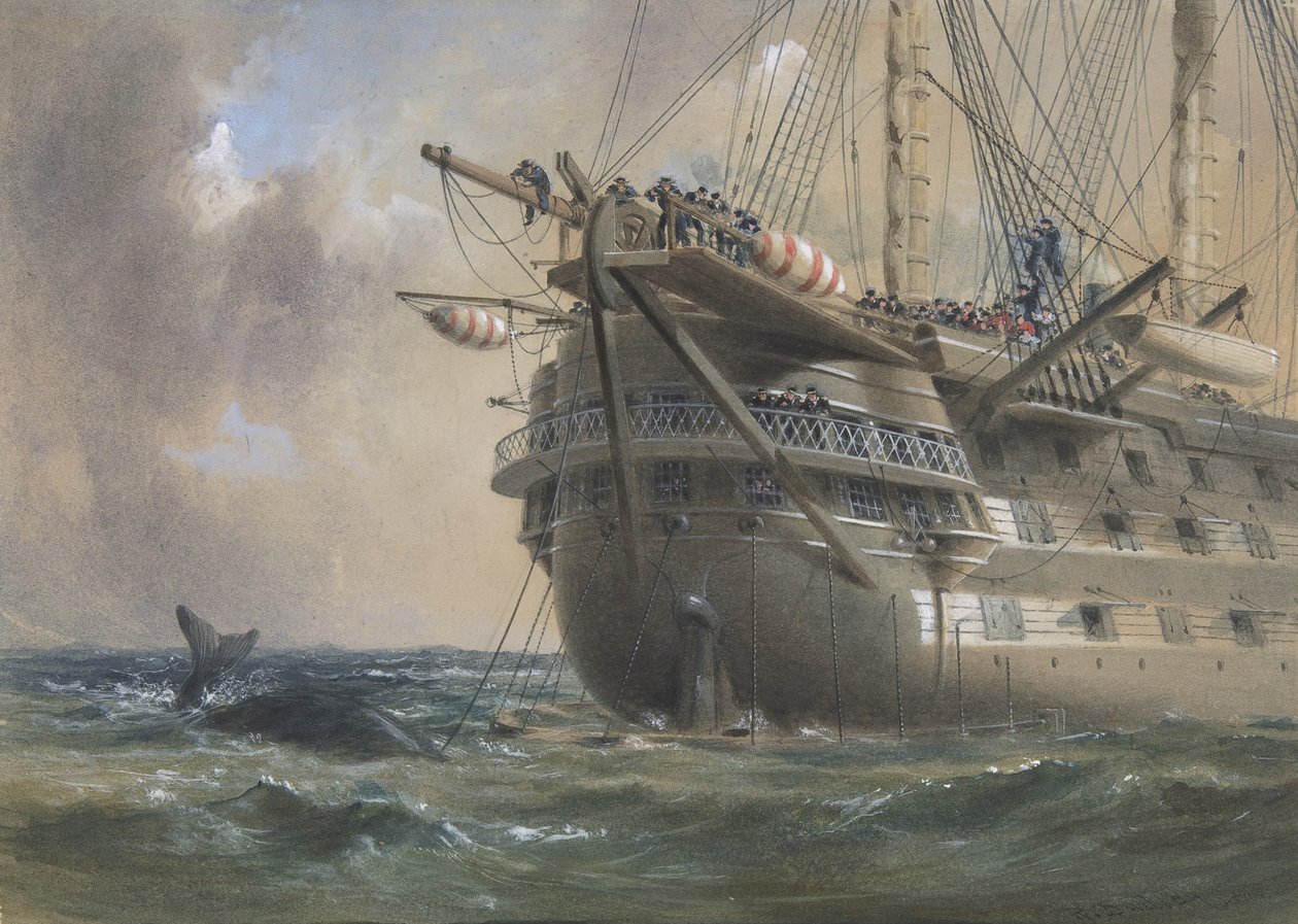 H.M.S. Agamemnon lægger det atlantiske telegrafkabel i 1858: en hval krydser linjen, 1865-66. af Robert Charles Dudley