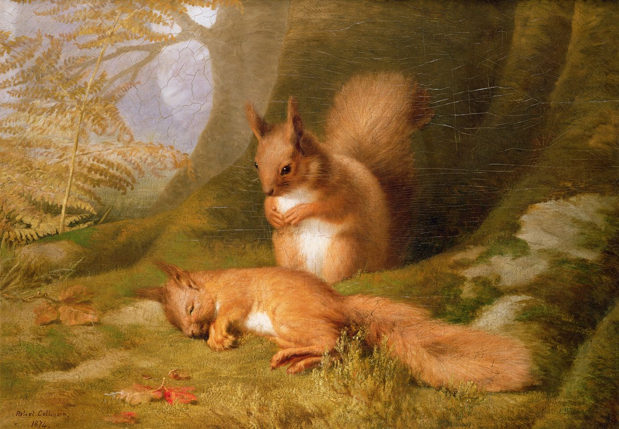 Egern i en skov, 1874 af Robert Collinson