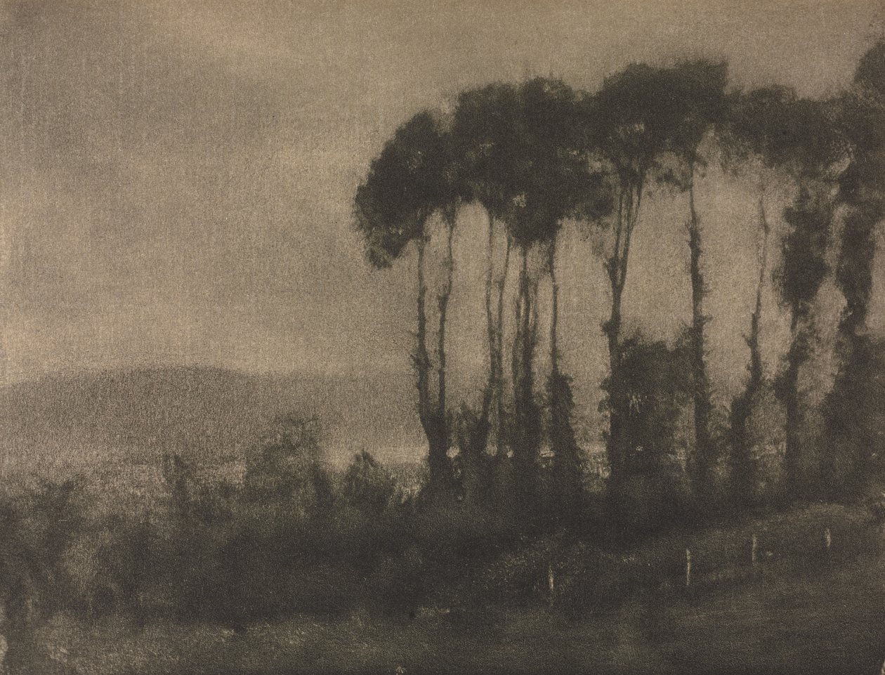 Kameraarbejde: Toucques Valley, 1906. af Robert Demachy
