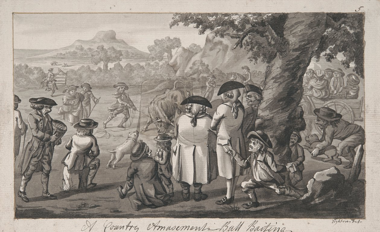 En landlig forlystelse - Bull Baiting af Robert Dighton