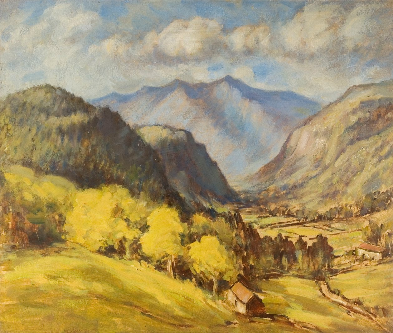 Valley Landscape (olie om bord) af Robert Ernest McEune