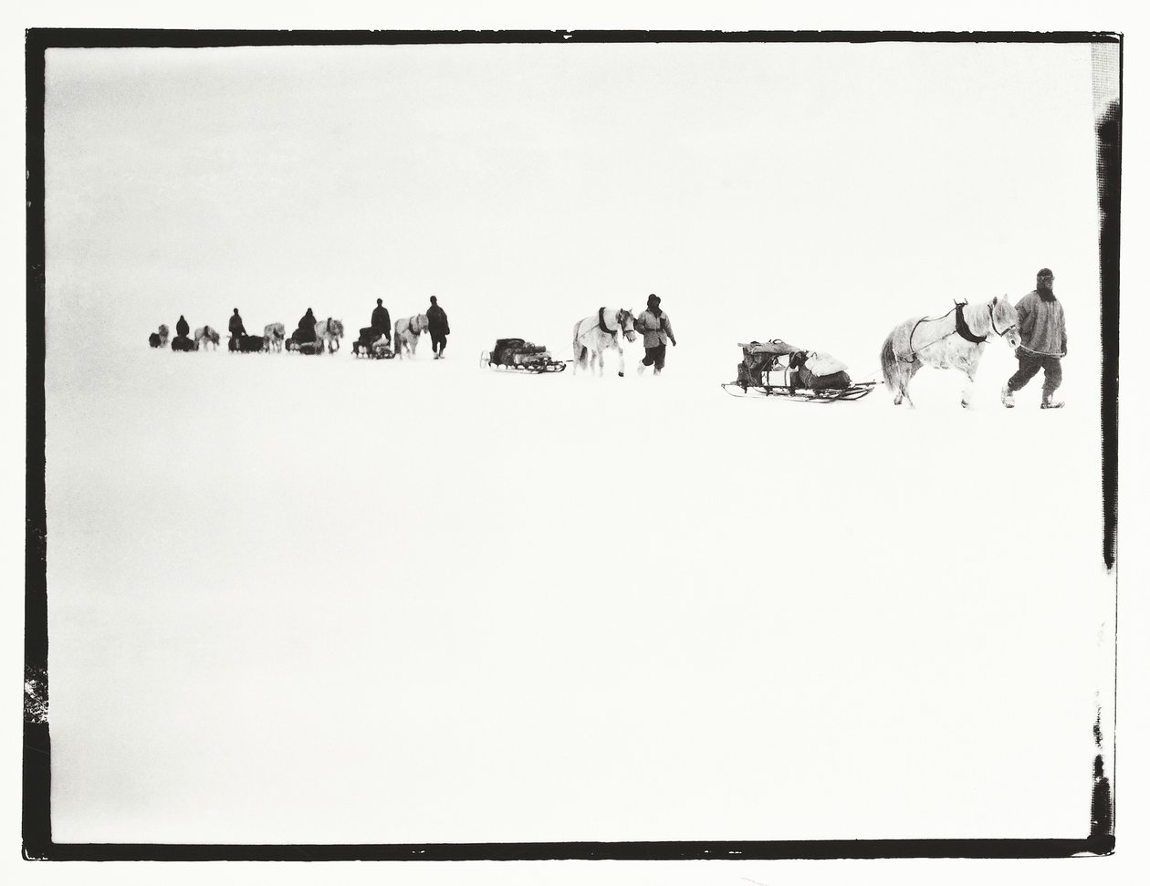 Ponyer på march, Great Ice Barrier, 2. december af Robert Falcon Scott