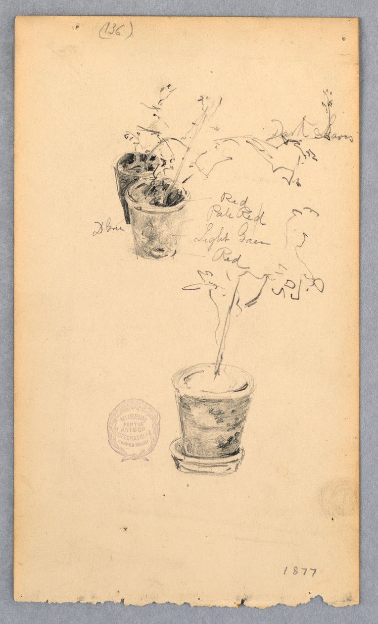 Tegning, Blomsterpotter, 1877 af Robert Frederick Blum