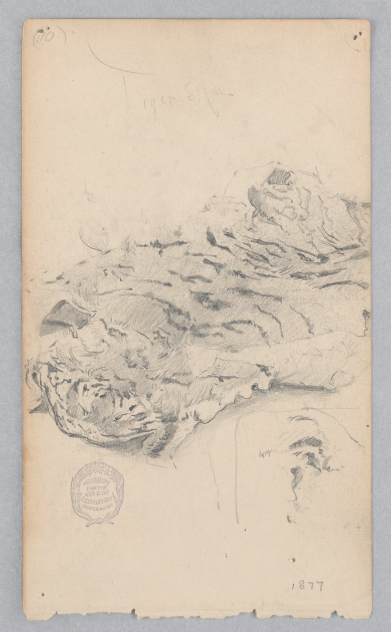 Tiger skin tæppe af Robert Frederick Blum