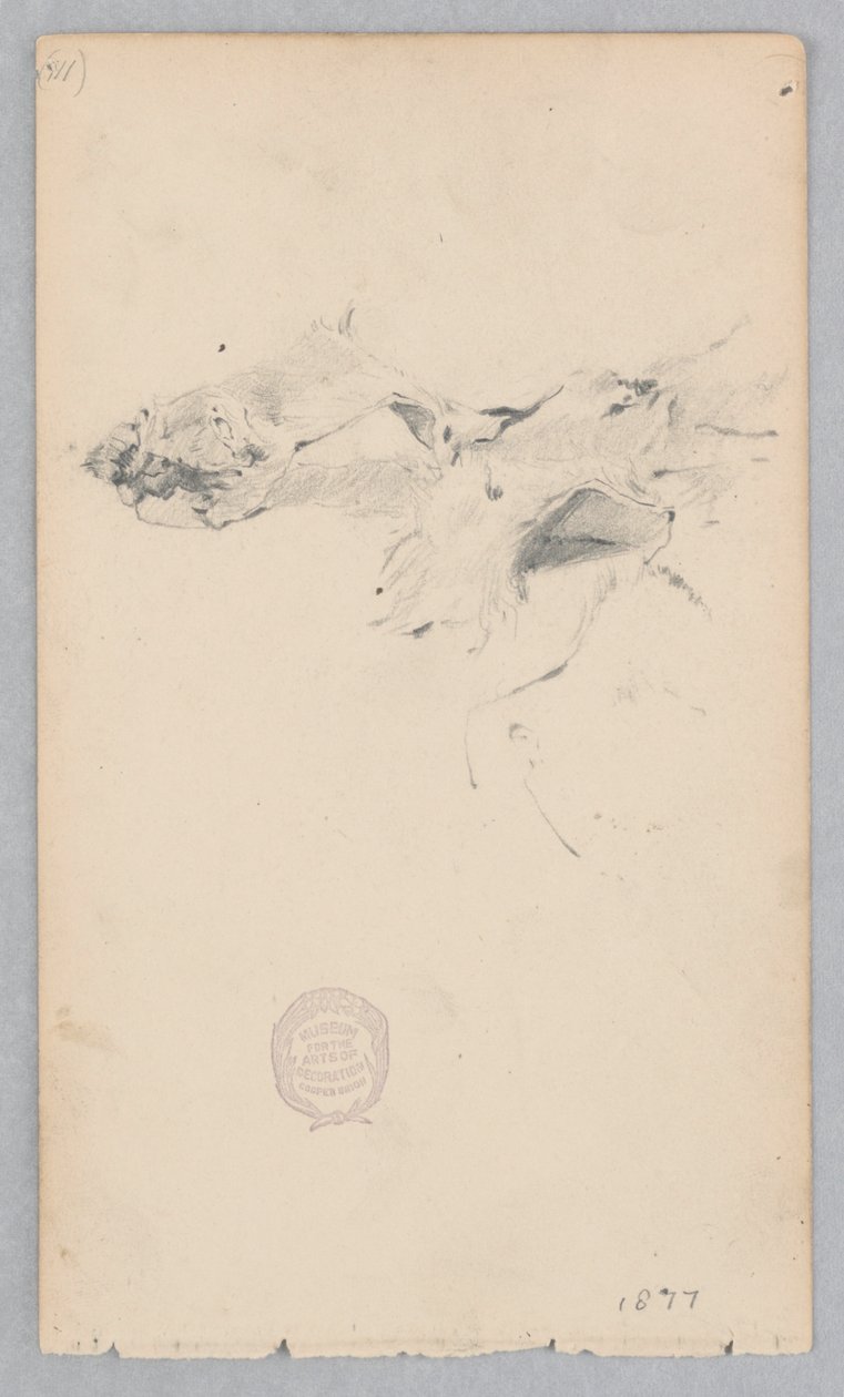 Tiger skin tæppe af Robert Frederick Blum