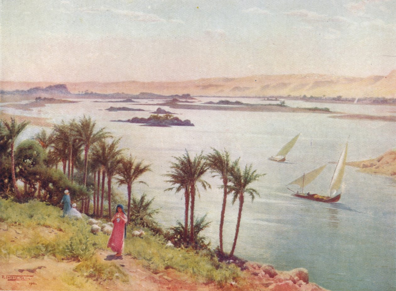 Første grå stær fra Elephantine Island, c1880, 1904 af Robert George Talbot Kelly