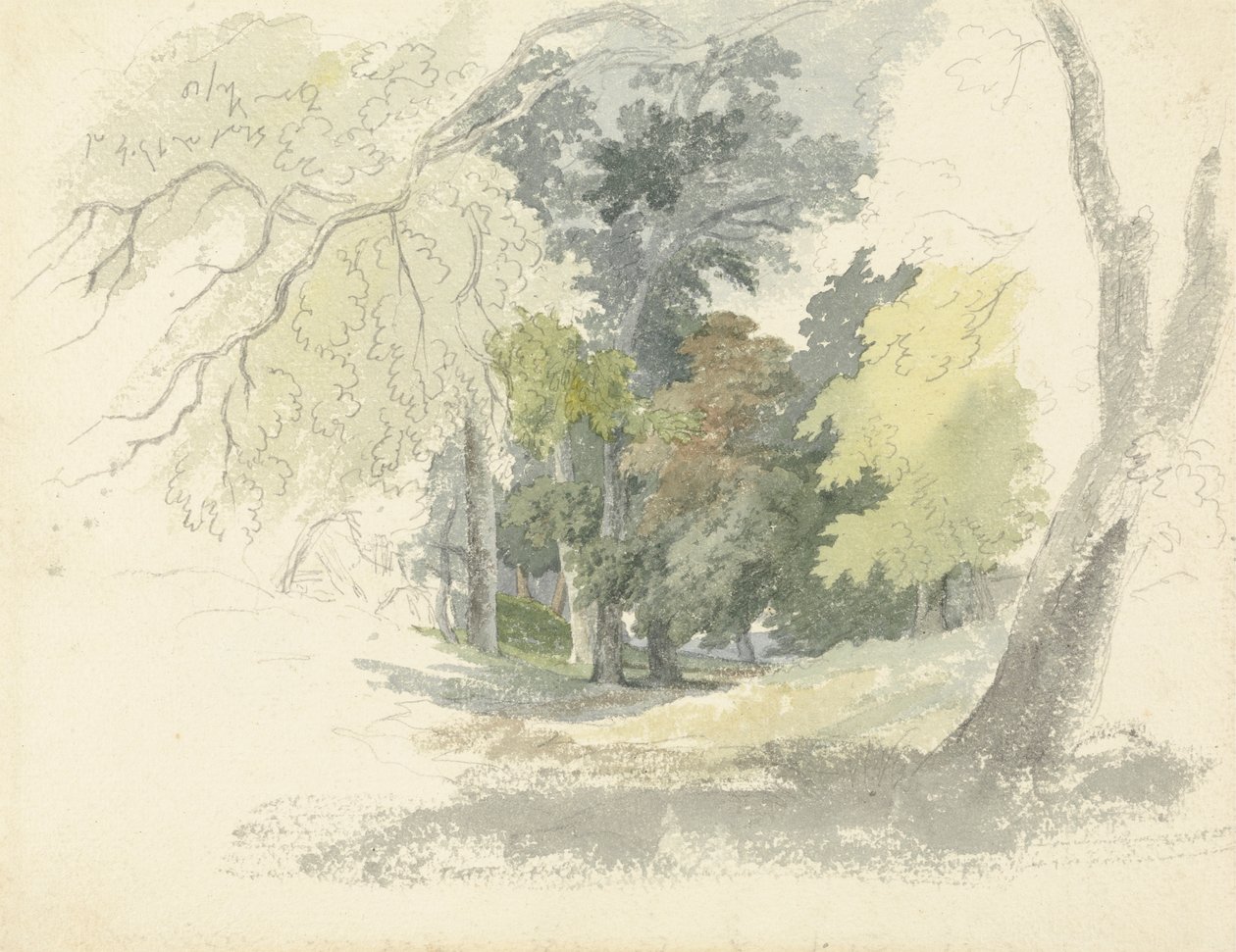 En Woodland Glade af Robert Hills