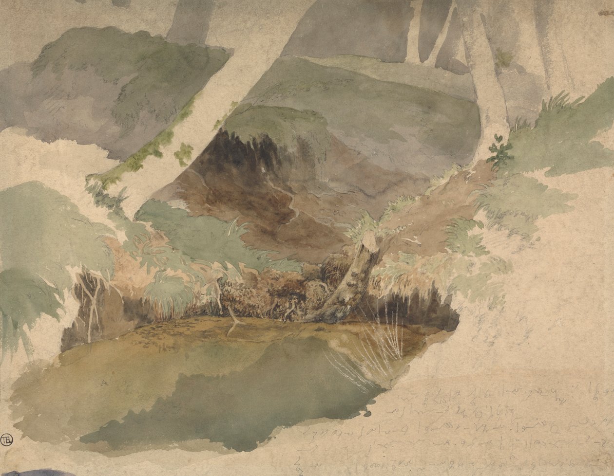 Skovpool af Robert Hills