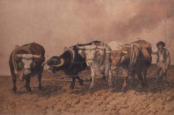 Hærgende af Robert Hills