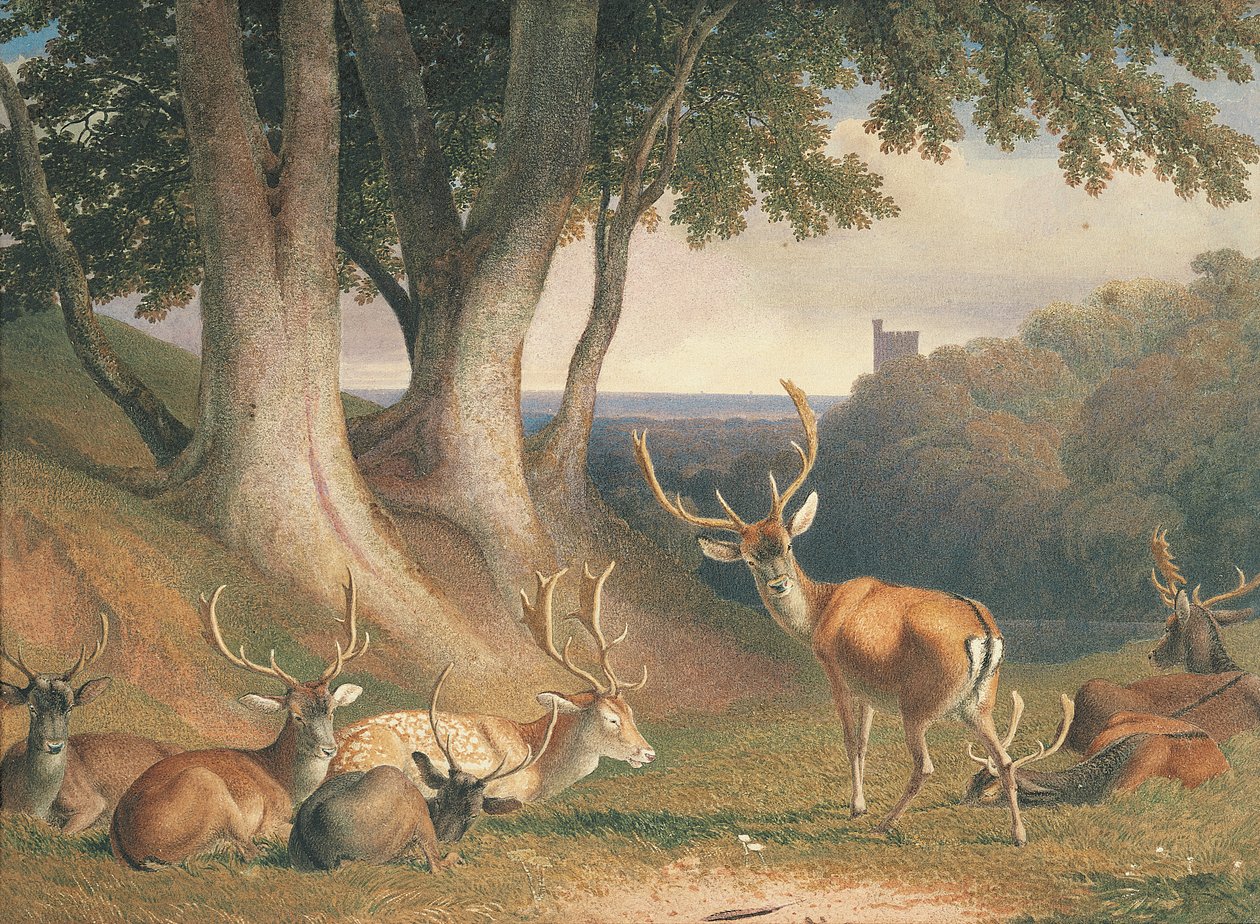 Landskab med hjorte, ca. 1800 (blyant og akvarel på papir) af Robert Hills