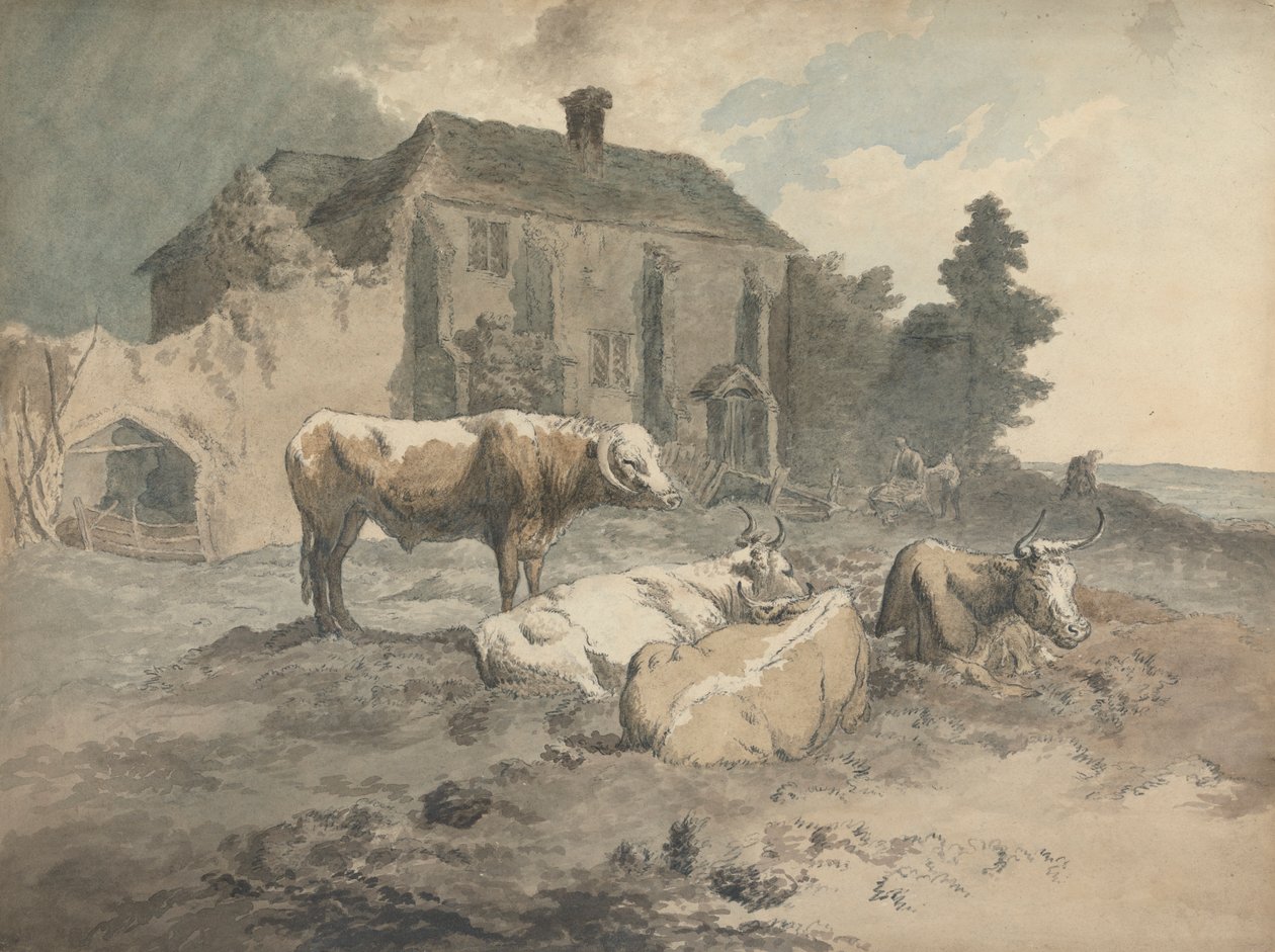 Langhornet kvæg af Robert Hills
