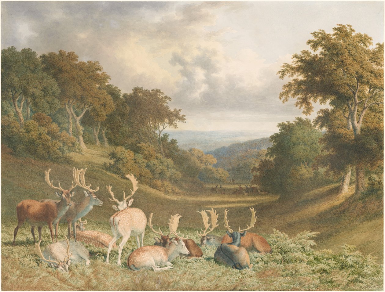 Hjorte i Knole Park, Kent af Robert Hills
